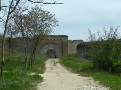 Прикрепленное изображение: IMG_20220501_111713.jpg